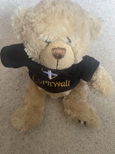 Keel toys cornwall teddy - cornwall, bear