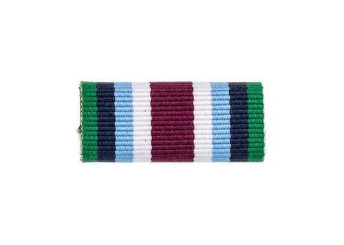 Wider service medal ribbon bar - wider,
