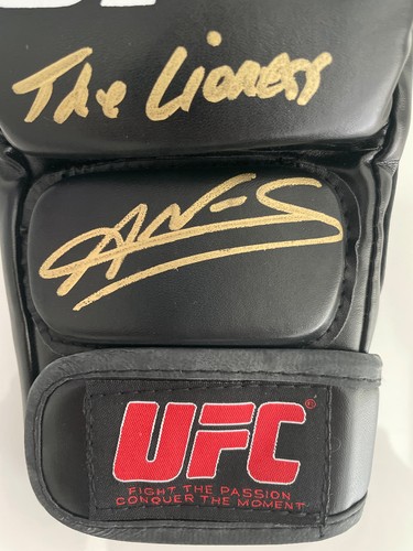 Amanda nunes the lioness - "the, lioness"