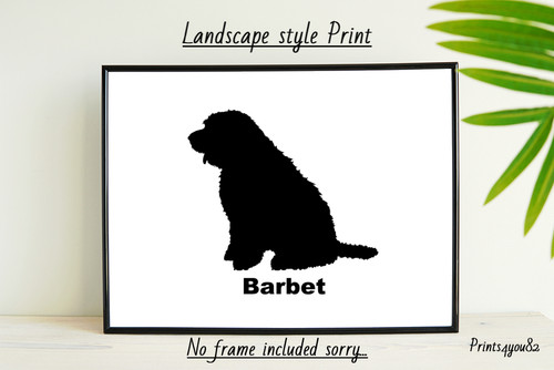 Barbet dog pet picture - pet, a4