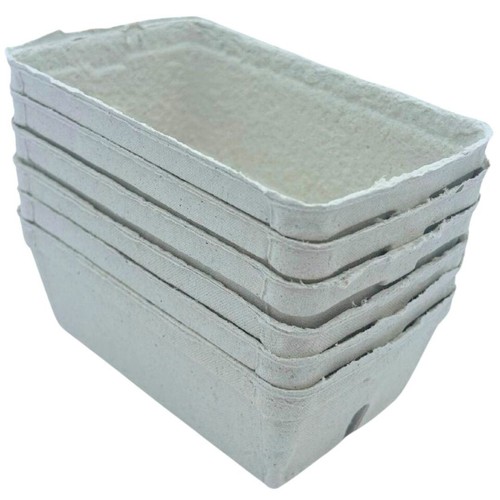 Bramley sage 250g - bramley,