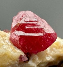 PRECIOUS FLUORESCENCE RED