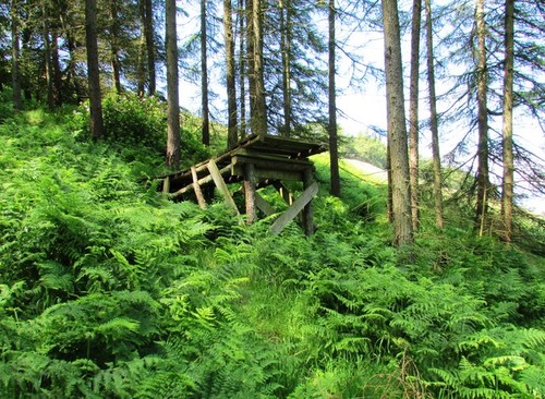 Photo mountain bike - mountain,