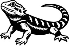 Bearded Dragon Lizard Vinyl