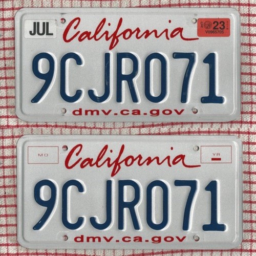 Pair california american - pair,