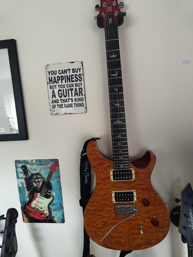 Prs custom - se,