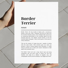 Border Terrier Funny