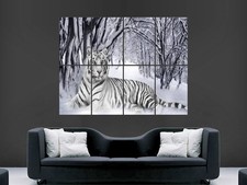 WHITE TIGER   LARGE WALL ART POSTER PICTURE  PRINT