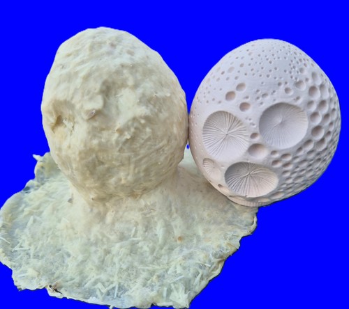 Handmade latex fibreglass - &,