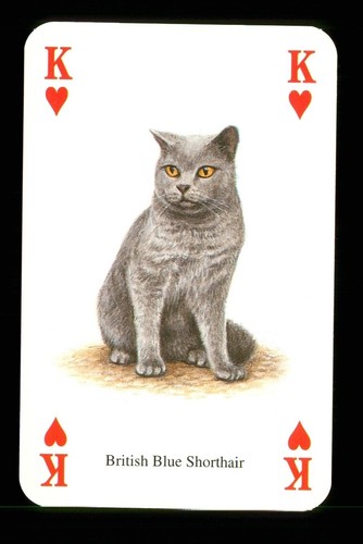 Playing card a cat - x, of