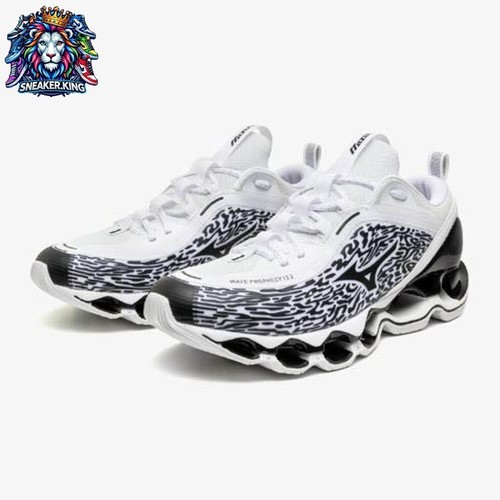 Mizuno wave prophecy 2 - prophecy, 13.2