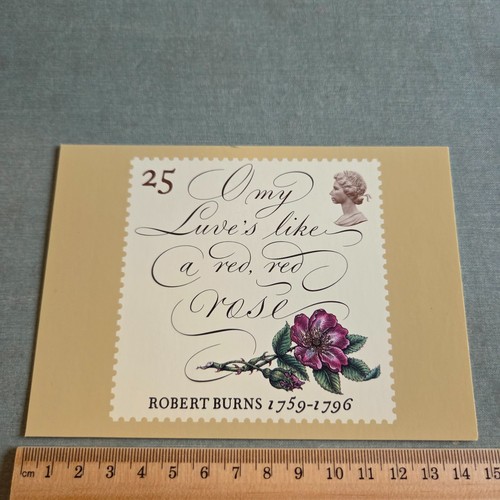 Vintage postcard robert - postcard, burns'