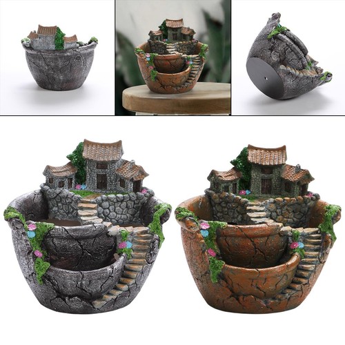 Succulent plants planter - plants,