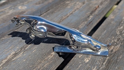 Vintage chrome jaguar - vintage, chrome-pl