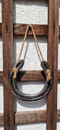 Rustic lucky horseshoe - rustic,