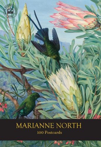 Marianne north 100 postcards - marianne,