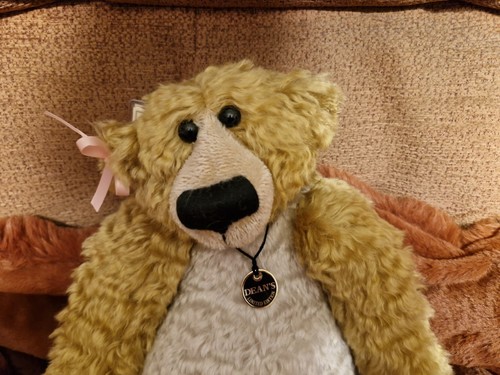 Dean ragbook bear - ragbook, paws