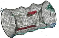 Giant lobster crab crayfish - lobster,