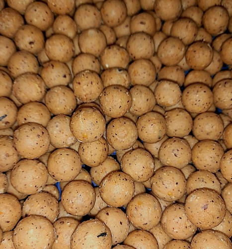 5kg carp fishing - 5kg, boilies