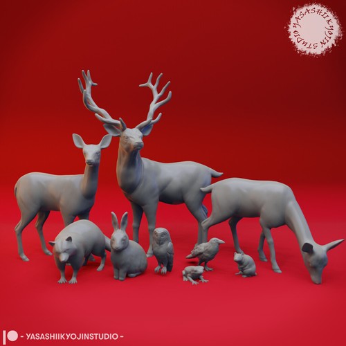 Wildlife animals forest - wildlife,