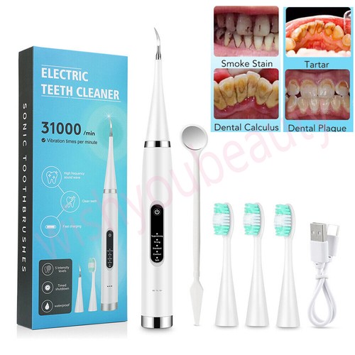 Electric dental scaler - electric,