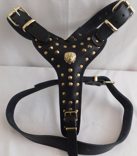 Real leather rottweiler - leather, rottweiler/rottie