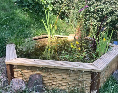 Raised pond hexagonal - pond,