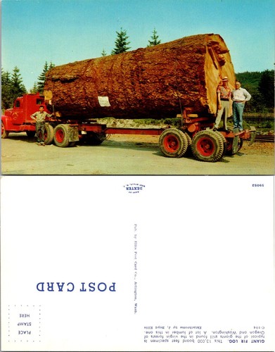 Vintage giant fir log - vintage, truck