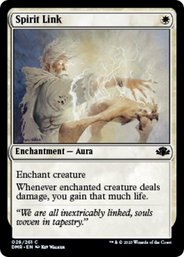 Spirit link dmr 29 - nm,
