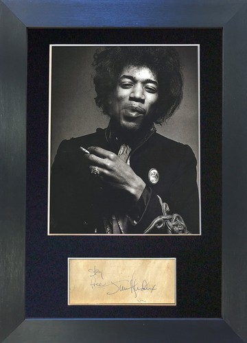 Jimi hendrix mounted - jimi,