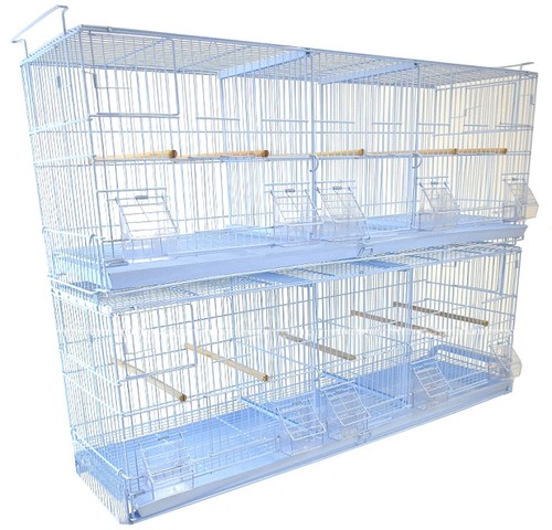 Large triple breeding - x-large, of