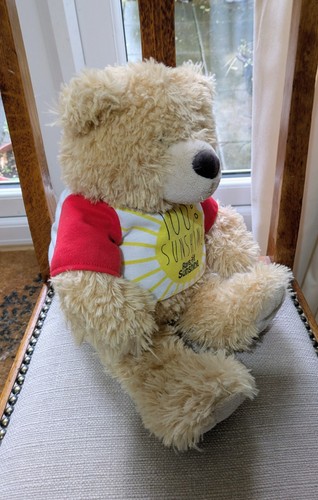 Vintage clintons bear 100 - bear,