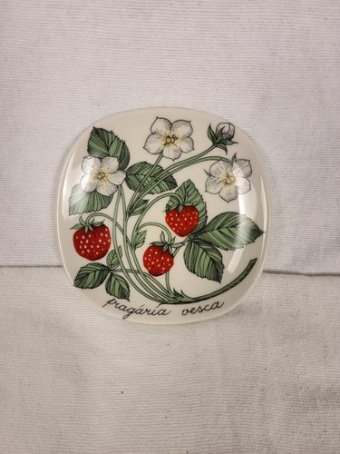 Fragaria vesca arabia finland - fragaria,