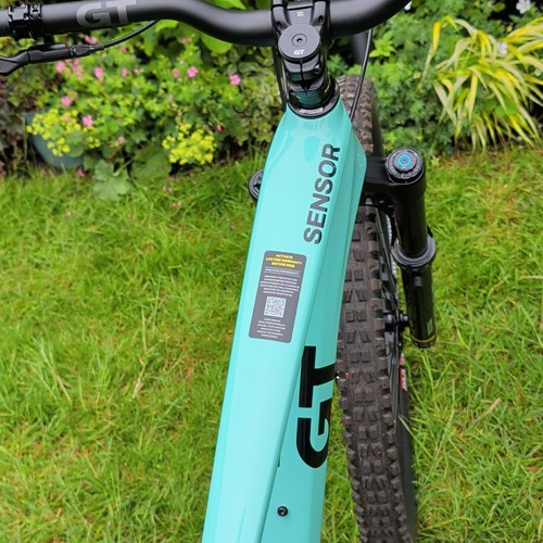 Sensor 29in carbon pro - 29in, xl