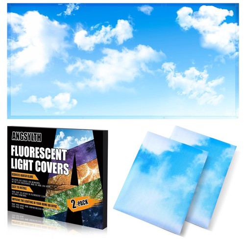 Fluorescent light covers 4x2 - fluorescent,