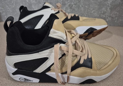 Puma monkey time - monkey,