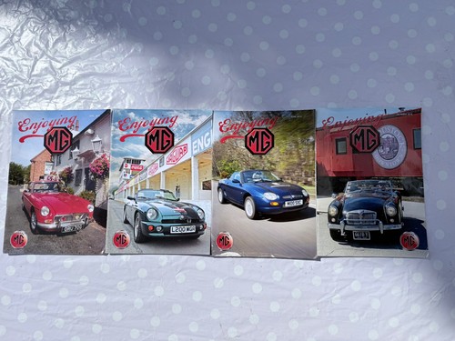 Enjoying car owners - mg,