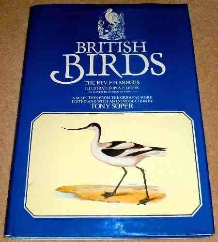 British birds the rev o - british, birds,the