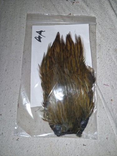 Cock cape fly - cape,fly, tying
