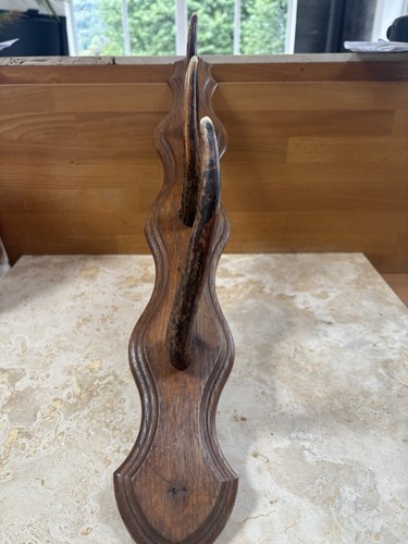 French wall mounted - french,