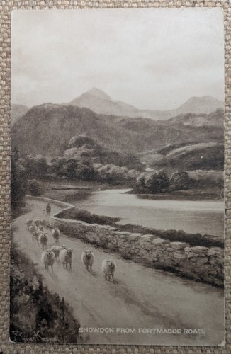 Elmer keene snowdon from - elmer,