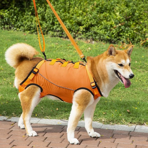 Pet dogs mobility aids - pet,