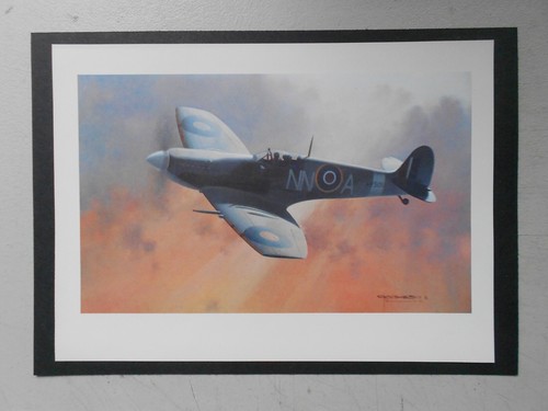 Military aviation print - aviation, print-