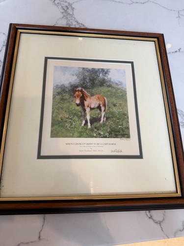 Signed limited edition print