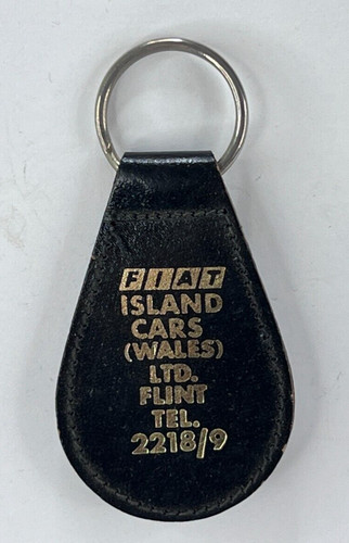 Leather fiat dealers keyring - leather,