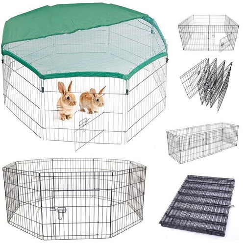 Dog puppy rabbit - dog, birds