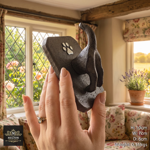 Cast iron coat - coat, hook