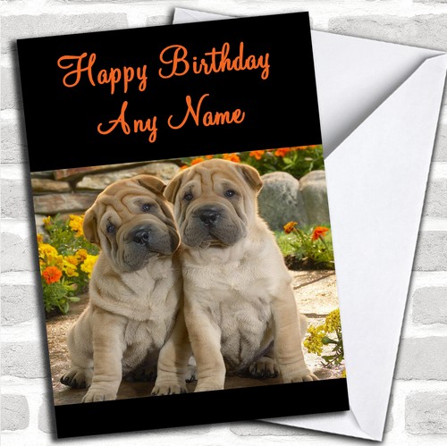 Shar pei puppy - shar,