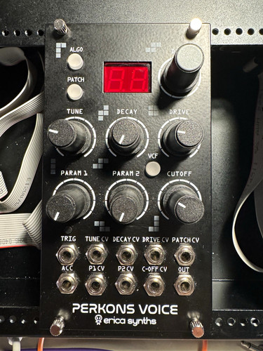 Erica synths perkons - synths, voice