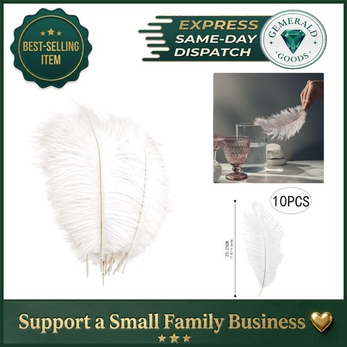 Elegant white plume feathers - plume,